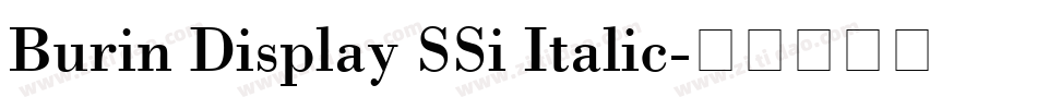 Burin Display SSi Italic字体转换